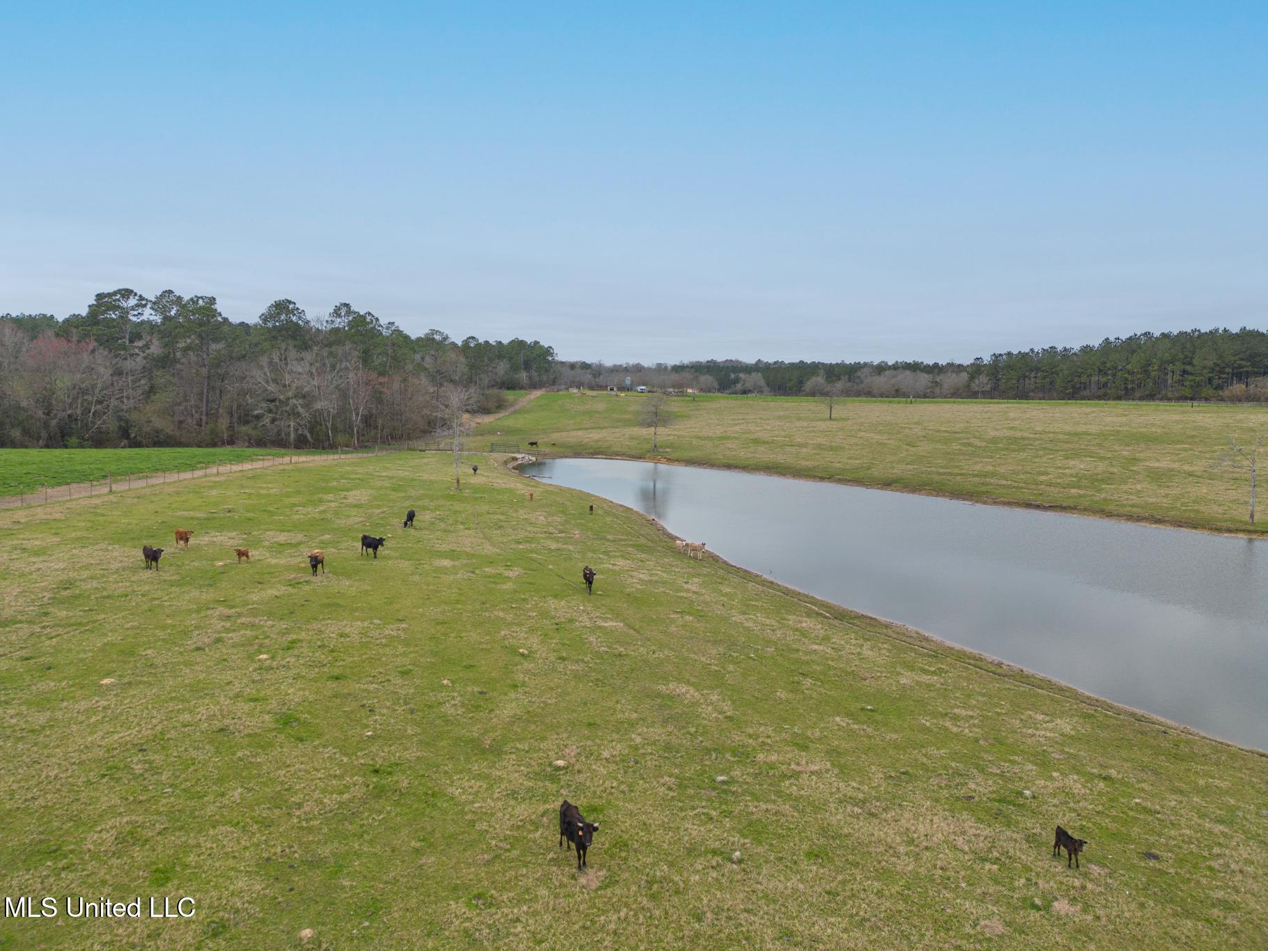 27285 McHenry Road Saucier, MS 39574 - Photo 17 of 26 27285 McHenry-9