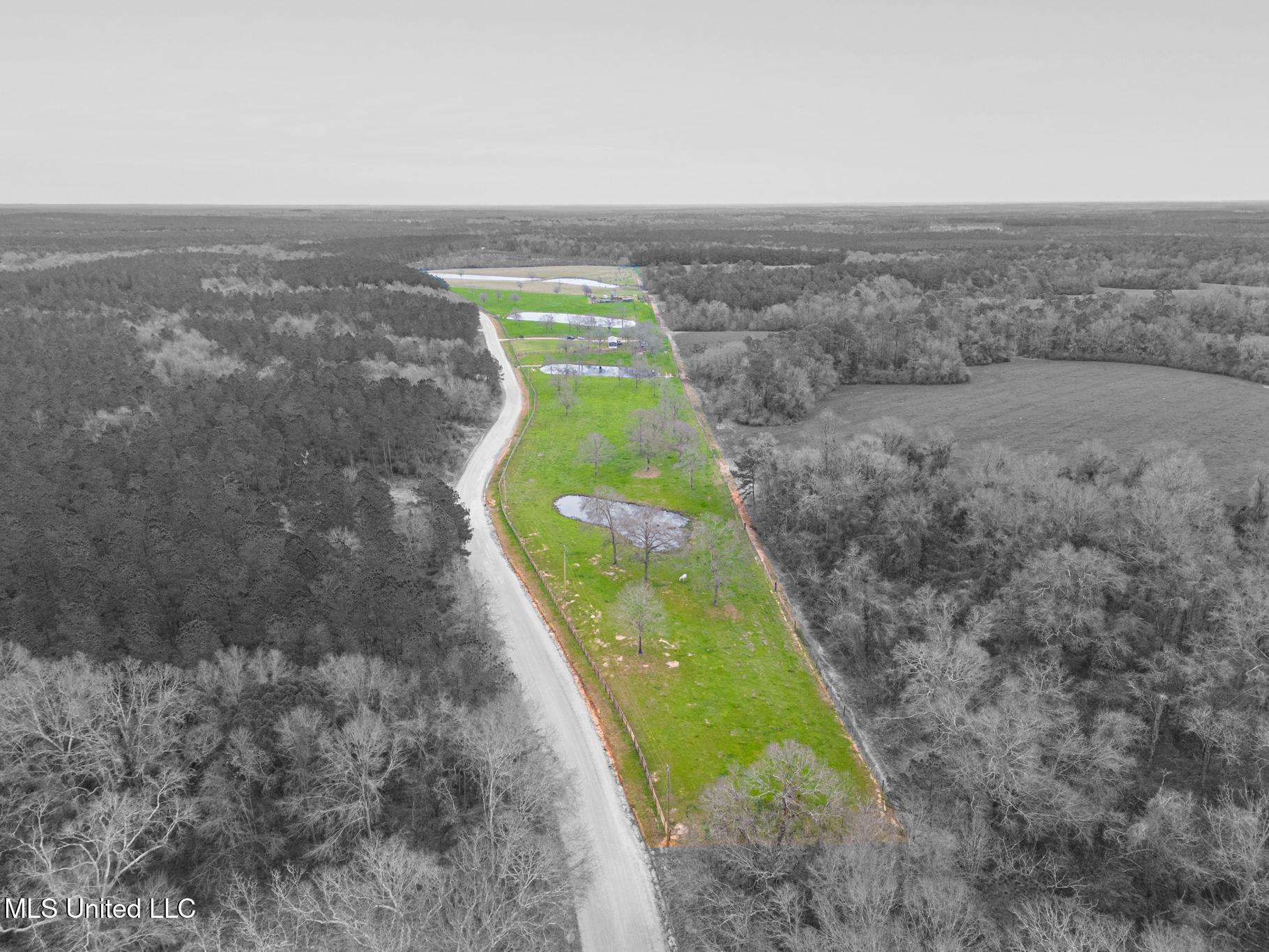 27285 McHenry Road Saucier, MS 39574 - Photo 19 of 26 27285 McHenry-3z