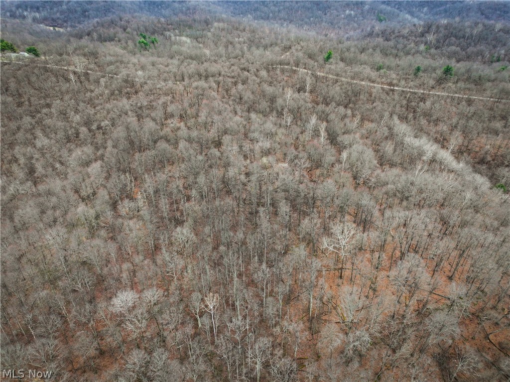 13 Ayers Ridge Lower Salem, OH 45745 - Photo 21 of 32 Aerial view of a heavily wooded area