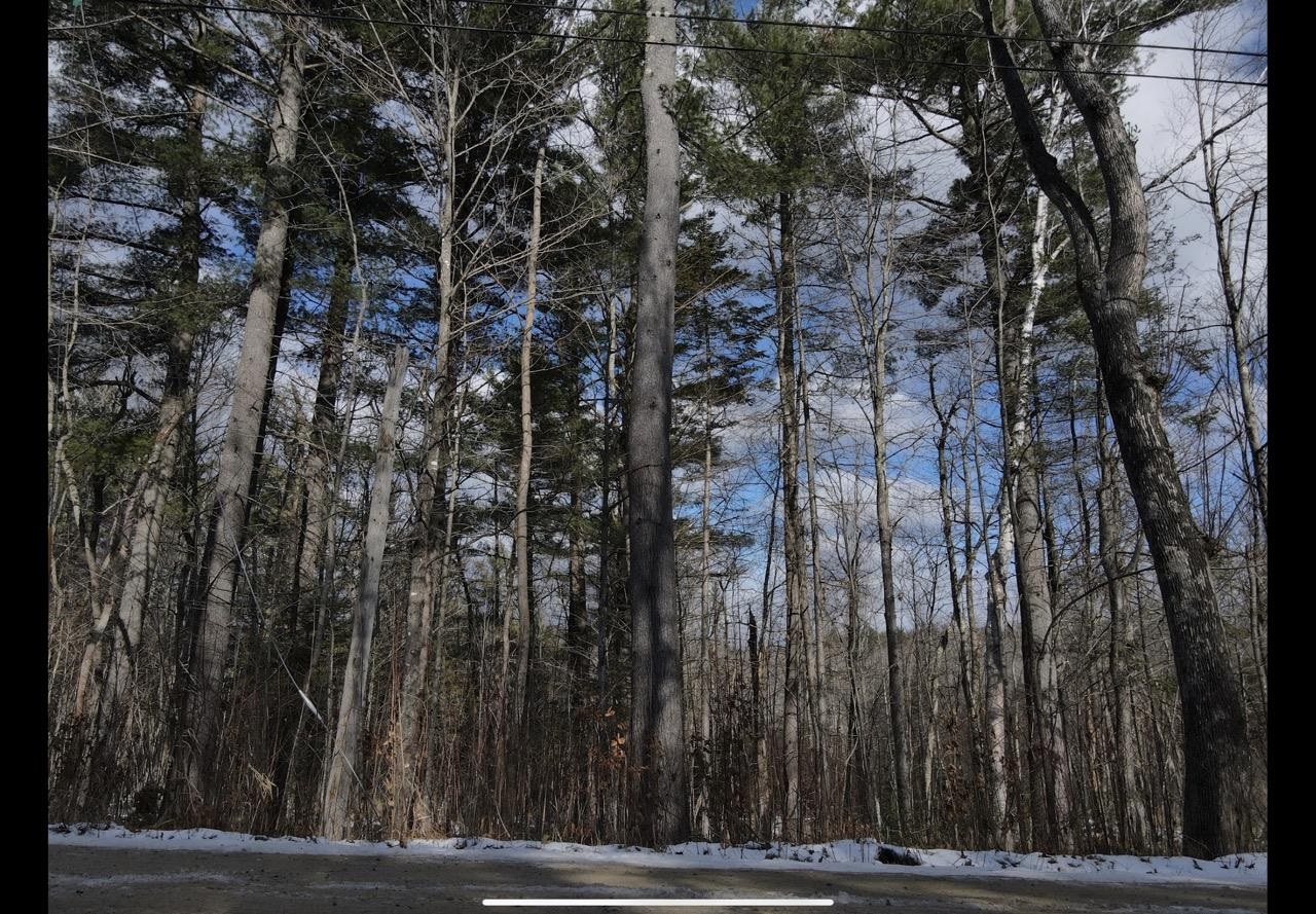 0 Quaker Path Road, Unit 16 Wilmot, NH 03287 - Photo 1 of 6 Gallery Image 1