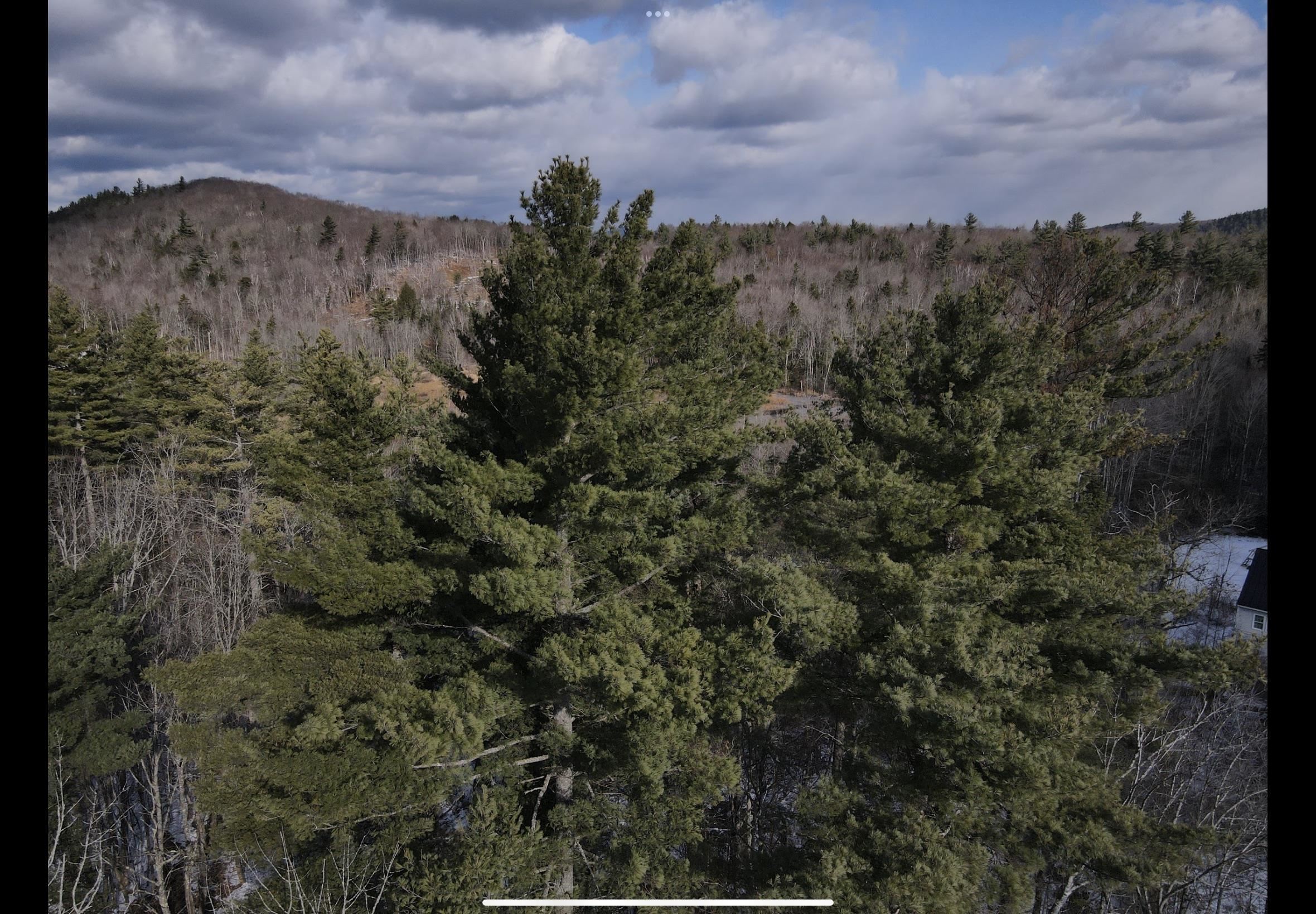 0 Quaker Path Road, Unit 16 Wilmot, NH 03287 - Photo 2 of 6 Gallery Image 2