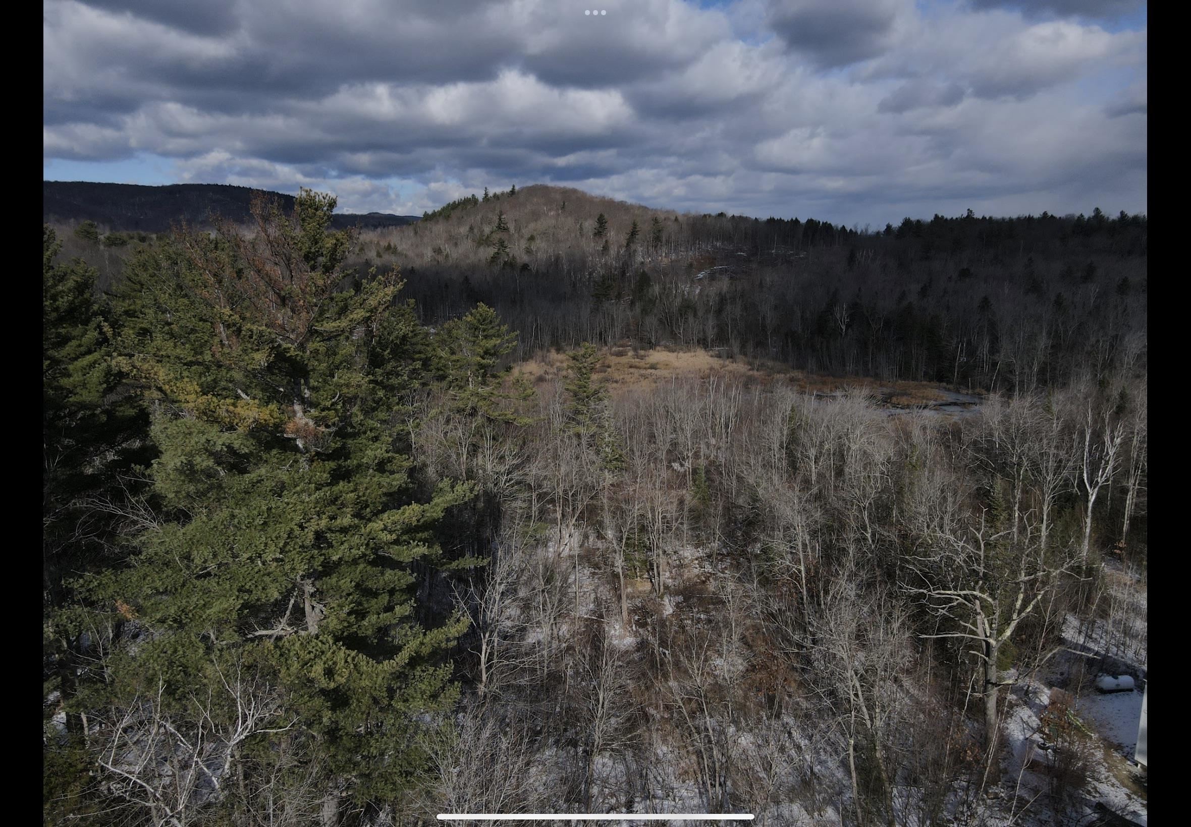 0 Quaker Path Road, Unit 16 Wilmot, NH 03287 - Photo 5 of 6 Gallery Image 5