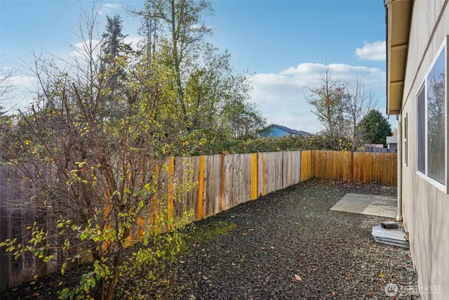 a view of backyard with tree