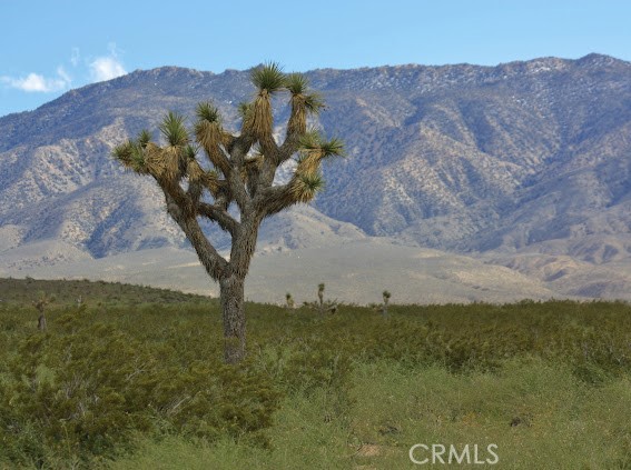 4444 Bessemer Johnson Vly Ca  