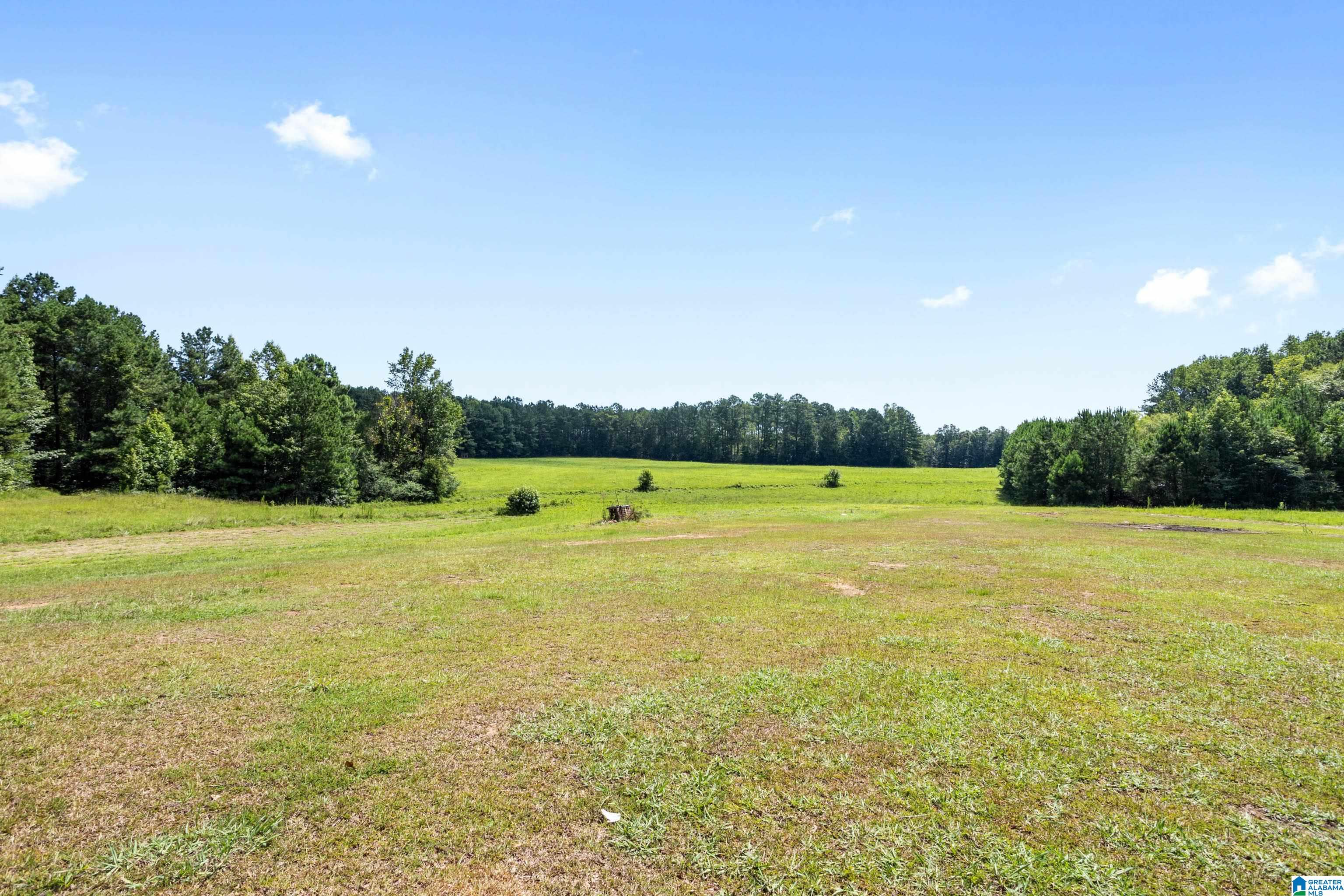 2105 Wallstown Road Hayden, AL 35079 - Photo 26 of 37