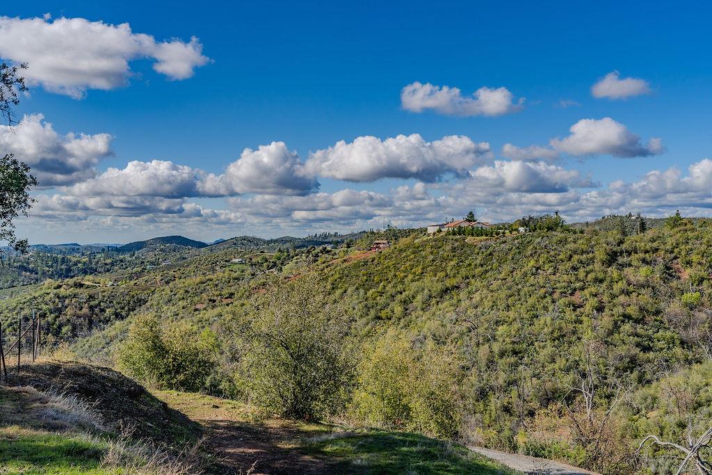9515 Ham Luddy Road Mountain Ranch, CA 95246 - Photo 51 of 92