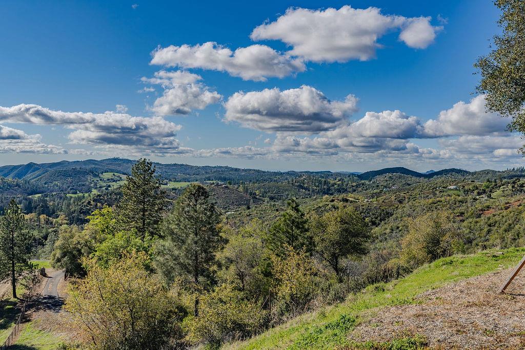 9515 Ham Luddy Road Mountain Ranch, CA 95246 - Photo 55 of 92 a view of a yard in a yard