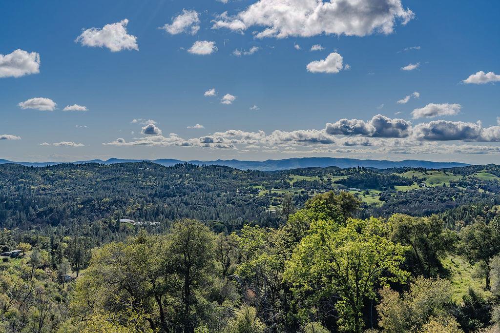 9515 Ham Luddy Road Mountain Ranch, CA 95246 - Photo 56 of 92