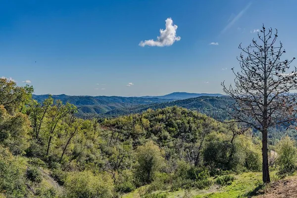 $899,000 | 9515 Ham Luddy Road, Mountain Ranch, CA 95246