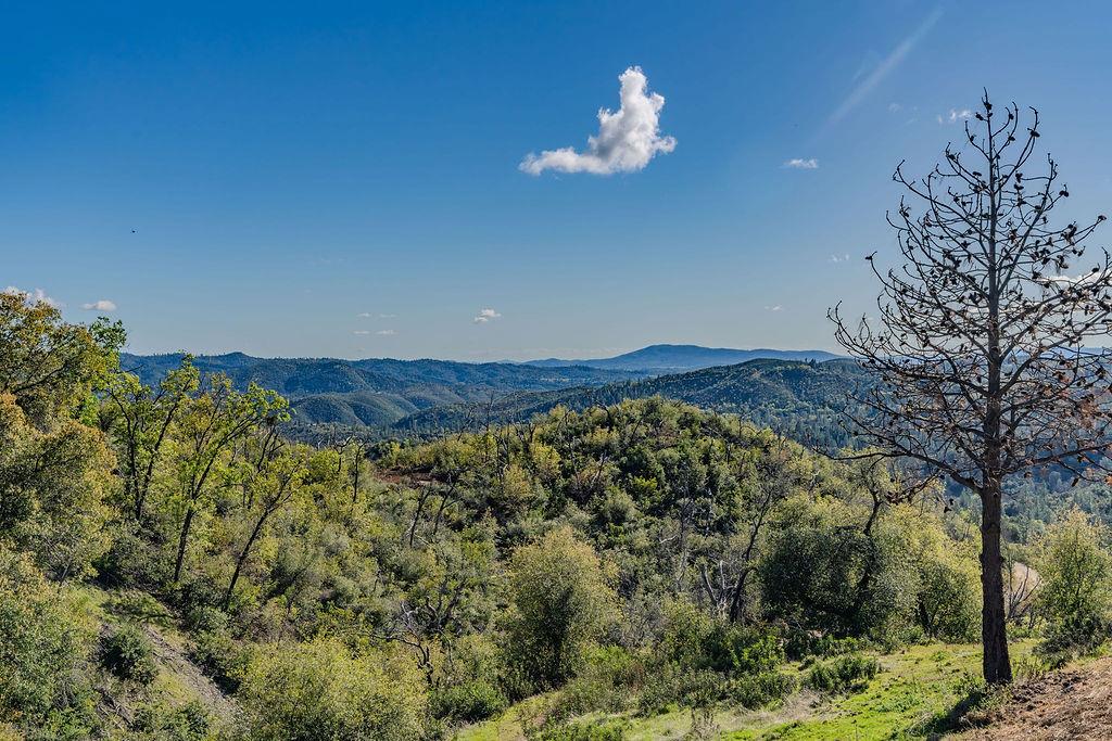 9515 Ham Luddy Road Mountain Ranch, CA 95246 - Photo 66 of 92