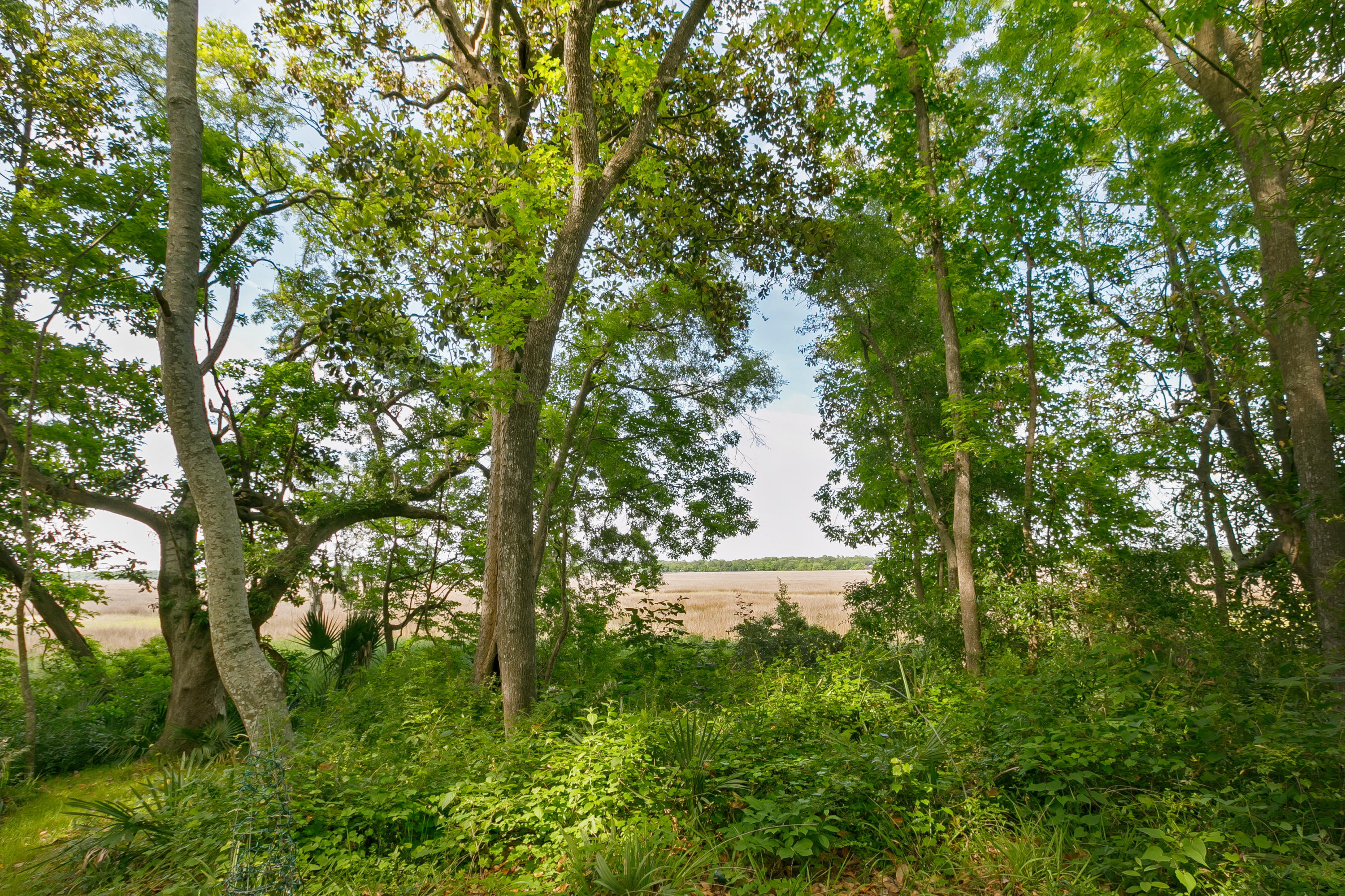 430 Rhett Butler Drive Charleston, SC 29414 - Photo 3 of 23 430 Rhett Butler Drive - PhotoByPatrickB
