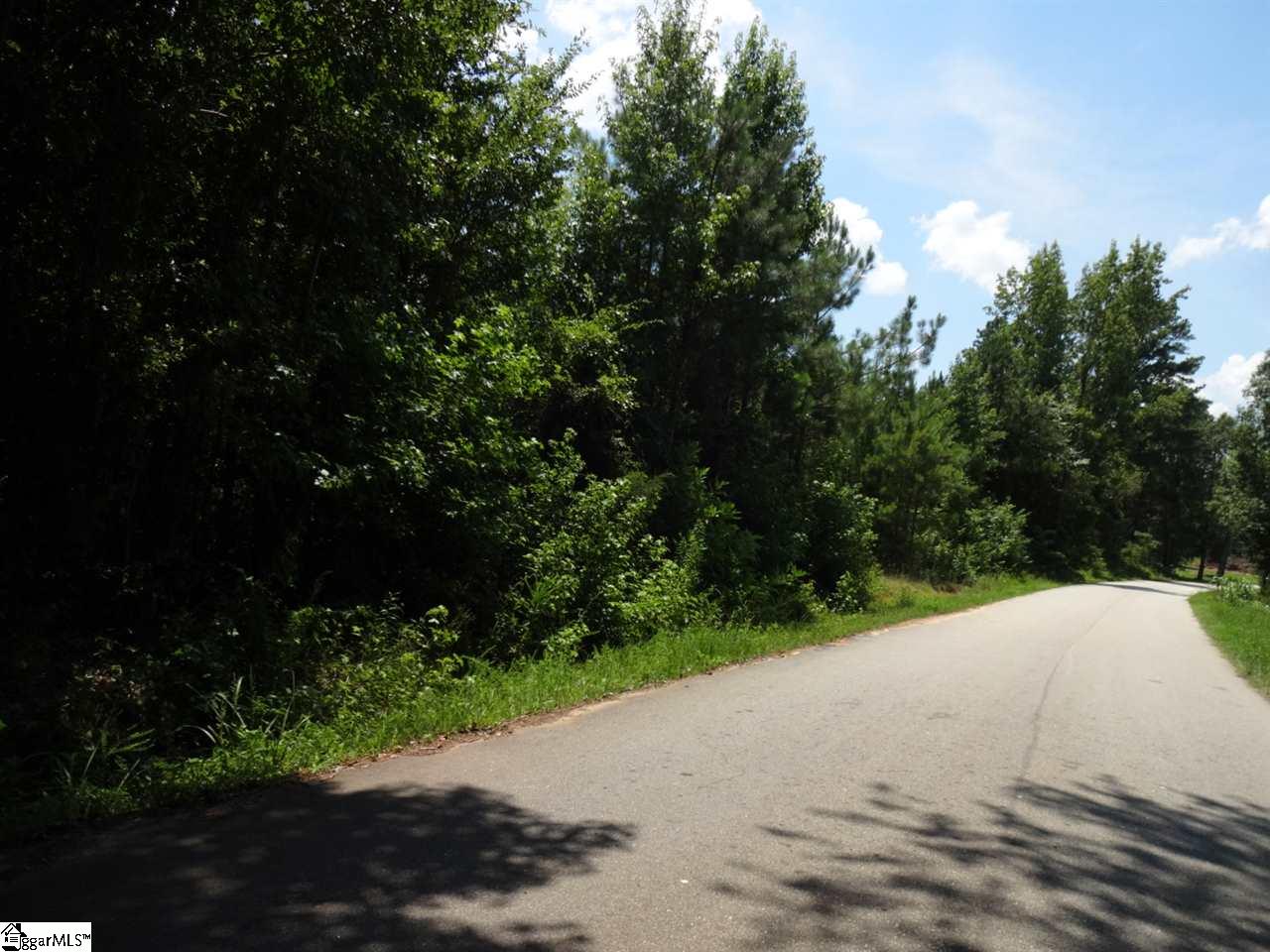 0 Fuller Road Clinton, SC 29325 - Photo 4 of 18