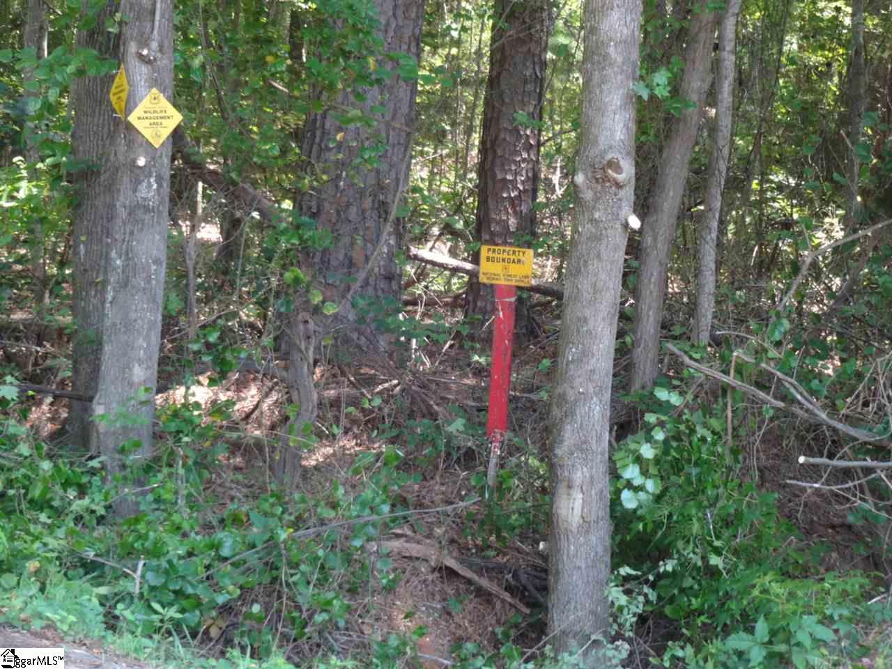 0 Fuller Road Clinton, SC 29325 - Photo 6 of 18