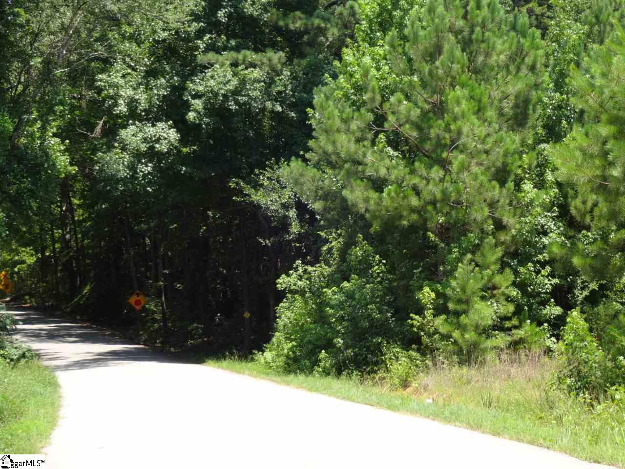 0 Fuller Road Clinton, SC 29325 - Photo 7 of 18
