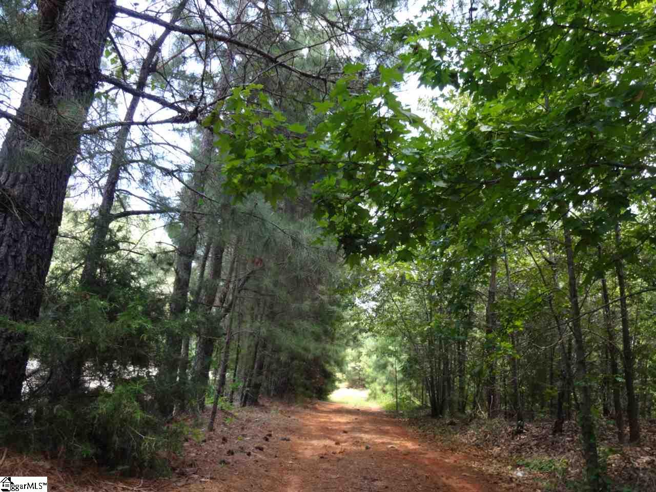 0 Fuller Road Clinton, SC 29325 - Photo 8 of 18