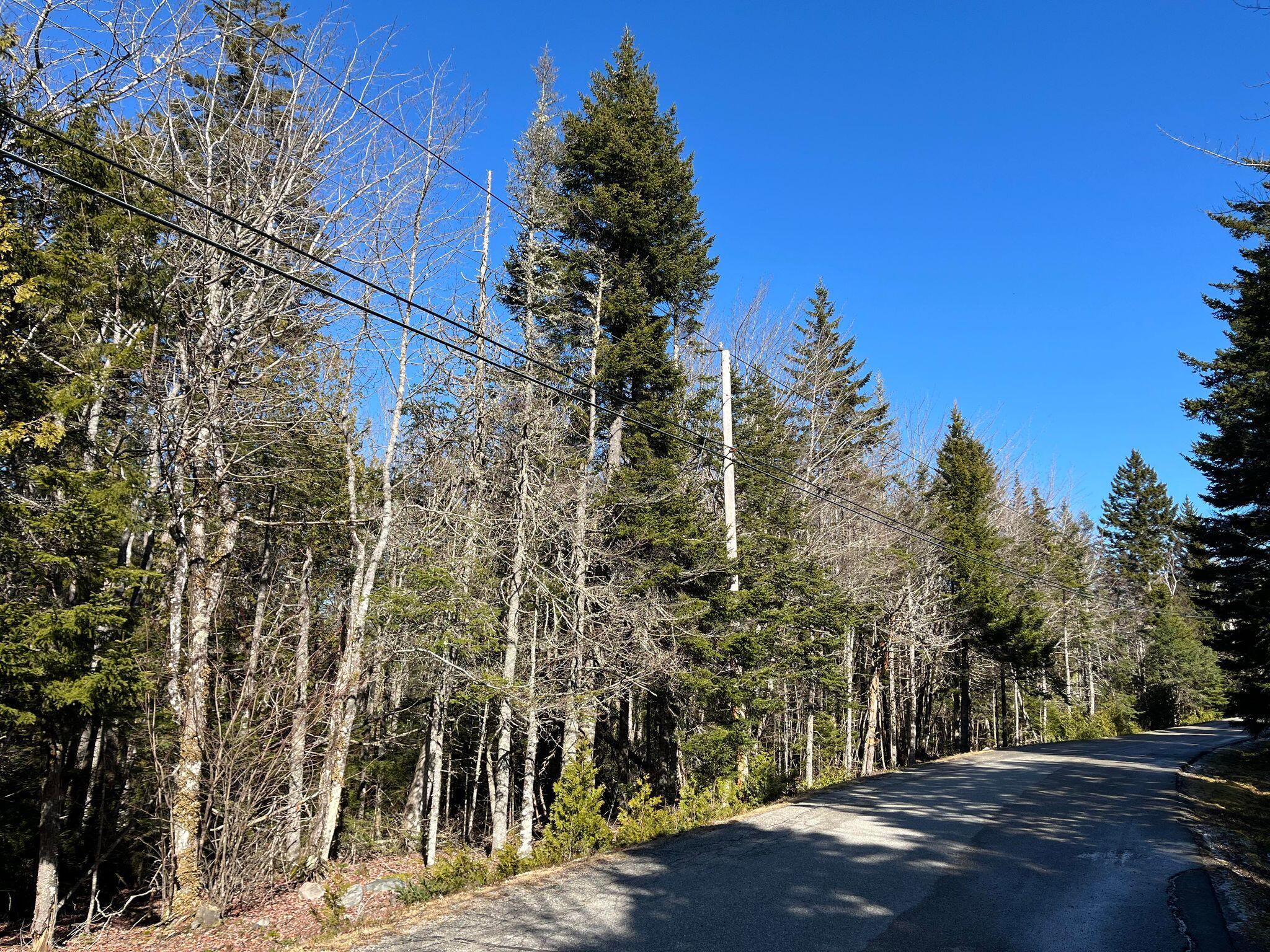 92 Yoho Head Road Machiasport, ME 04655 - Photo 5 of 12 419111703_424613296626101_37105972014037