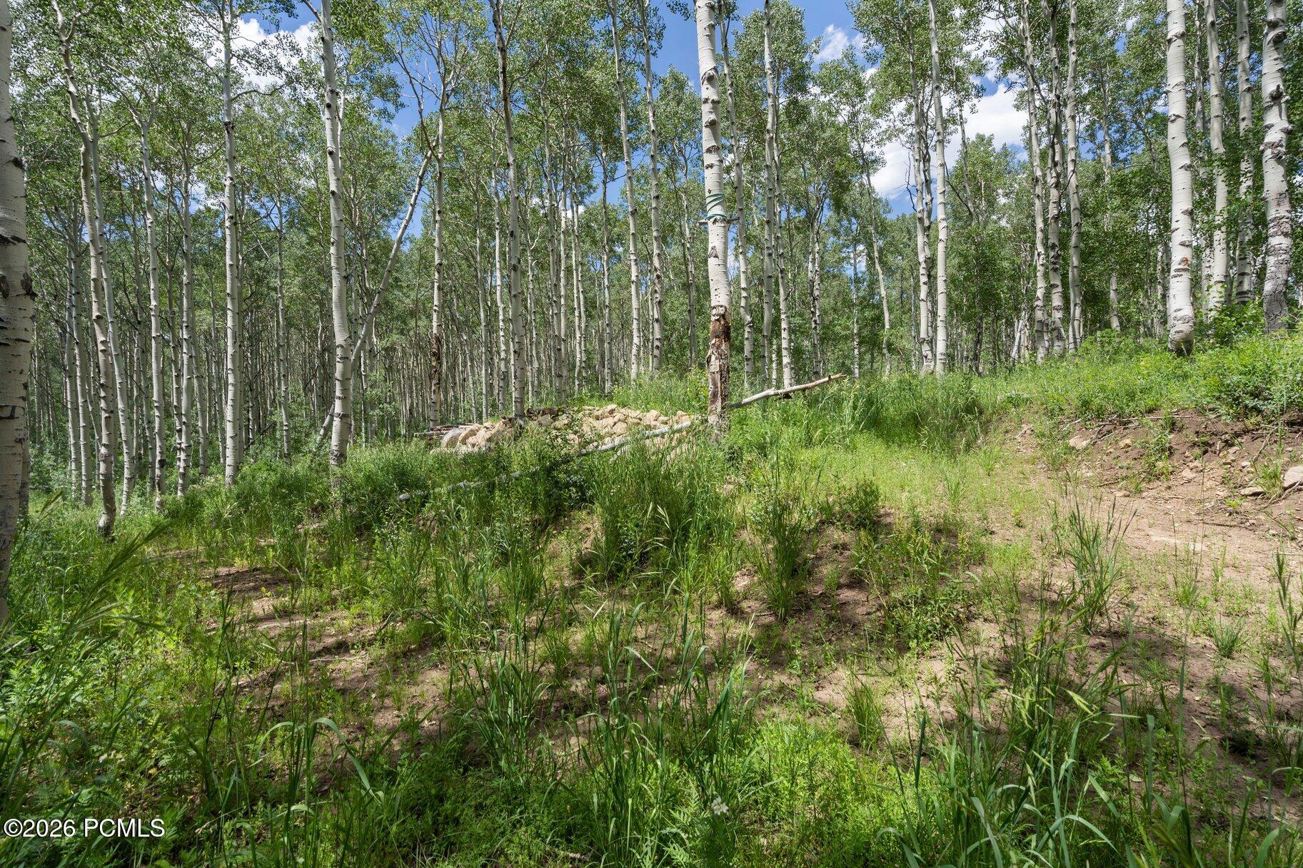 2086 West Bright Star Road Park City, UT 84060 - Photo 3 of 14