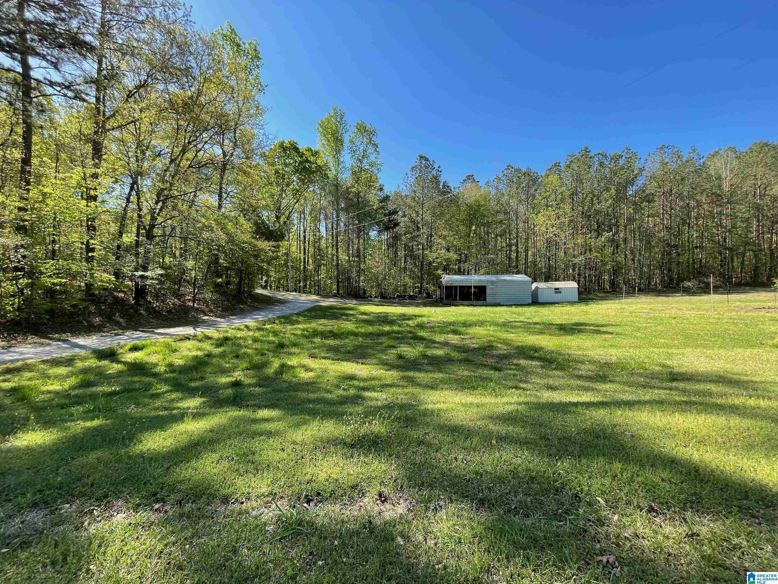 190 County Road 170, Unit 1 Jemison, AL 35085 - Photo 2 of 14