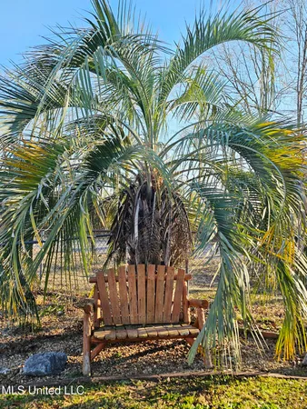 $275,000 | 144 Harlan Davis Road, Lumberton, MS 39455