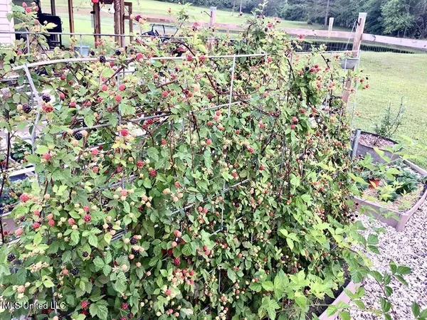 $275,000 | 144 Harlan Davis Road, Lumberton, MS 39455