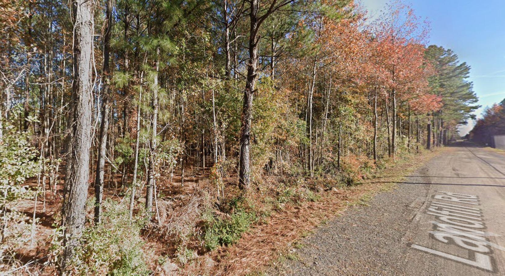 558 Jedburg Road Summerville, SC 29483 - Photo 11 of 15 558 Jedburg Rd (5)