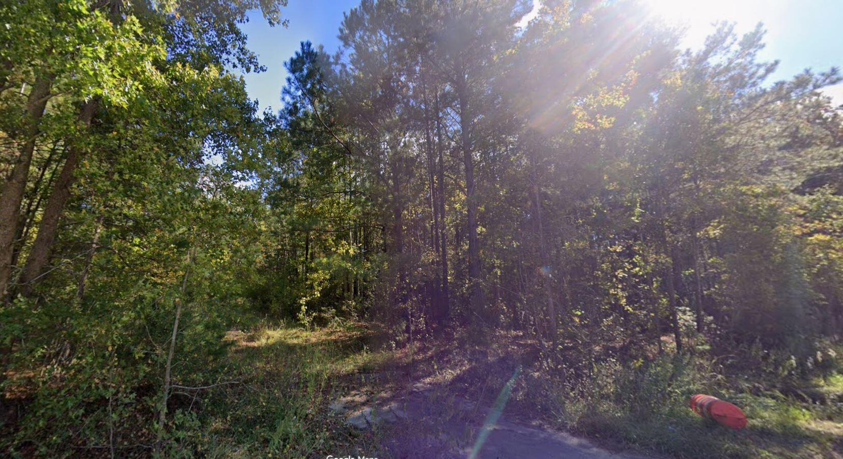 558 Jedburg Road Summerville, SC 29483 - Photo 14 of 15 558 Jedburg Rd (8)