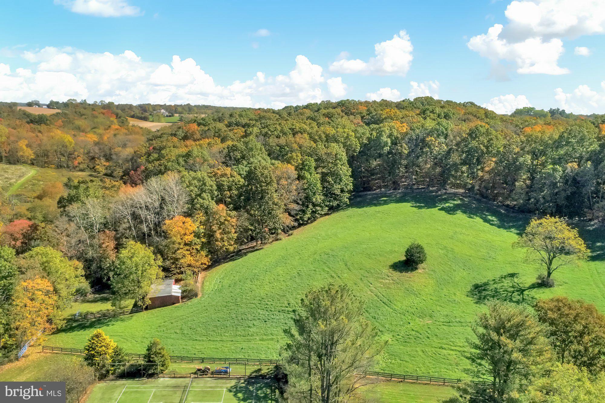 16429 Yeoho Road Sparks, MD 21152 - Photo 6 of 39