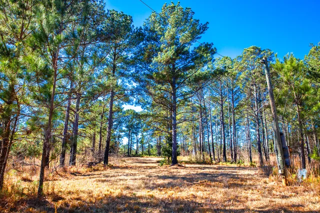 $294,900 | 6978 Moontown Drive East, Appling, GA 30802