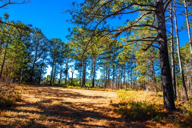 $294,900 | 6978 Moontown Drive East, Appling, GA 30802