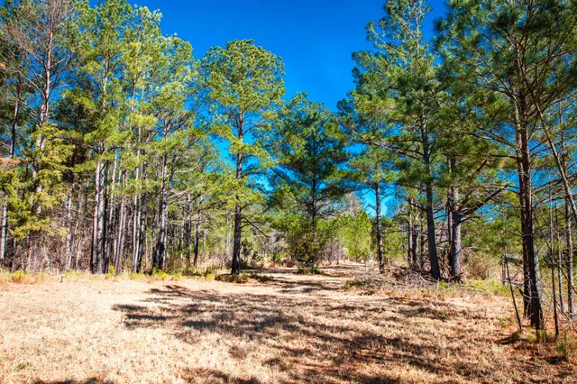 $294,900 | 6978 Moontown Drive East, Appling, GA 30802