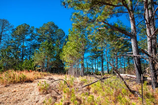 $294,900 | 6978 Moontown Drive East, Appling, GA 30802