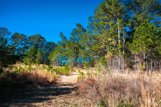 $294,900 | 6978 Moontown Drive East, Appling, GA 30802