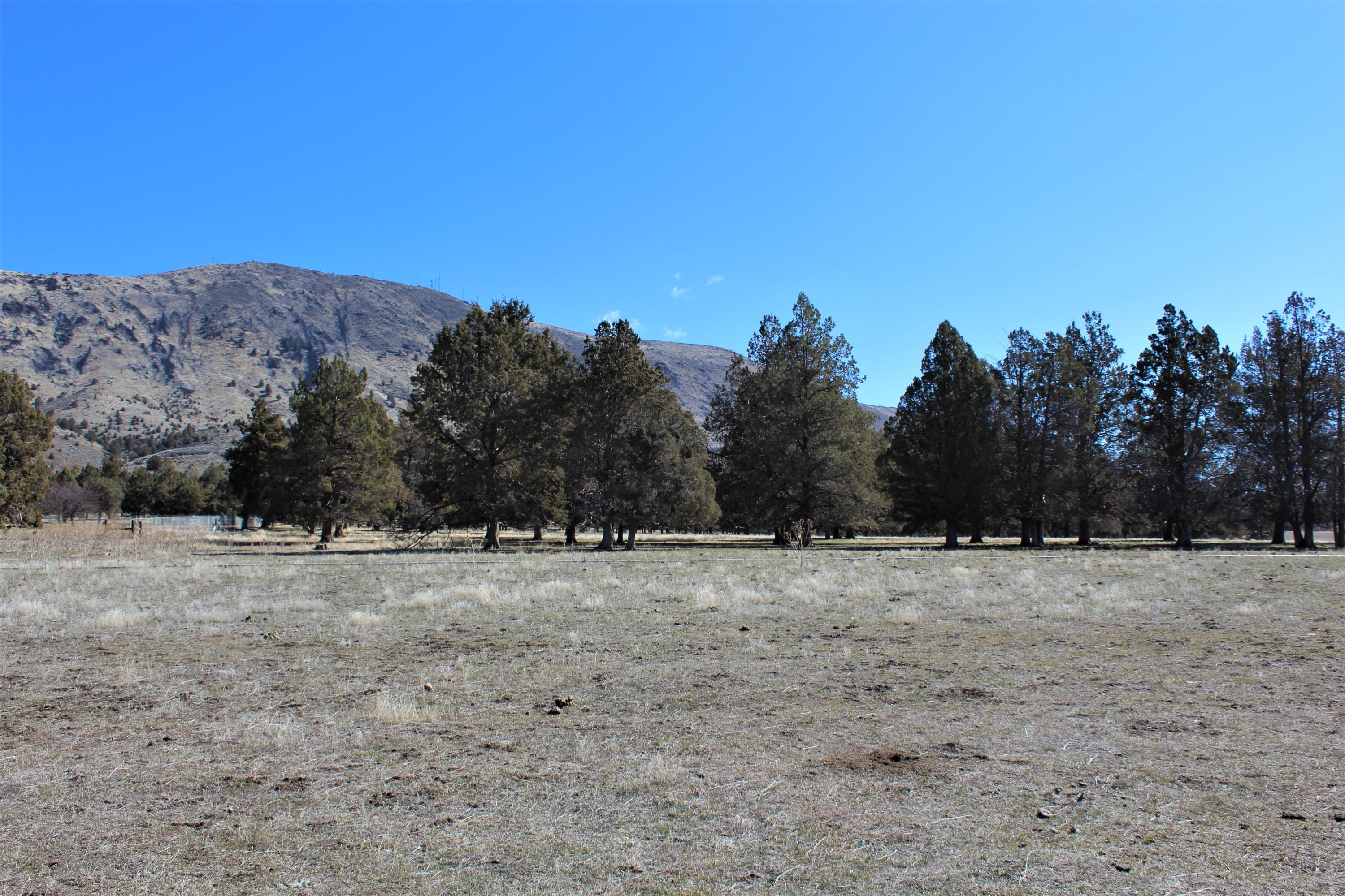 0 Hill Road Klamath Falls, OR 97603 - Photo 25 of 30 IMG_3621