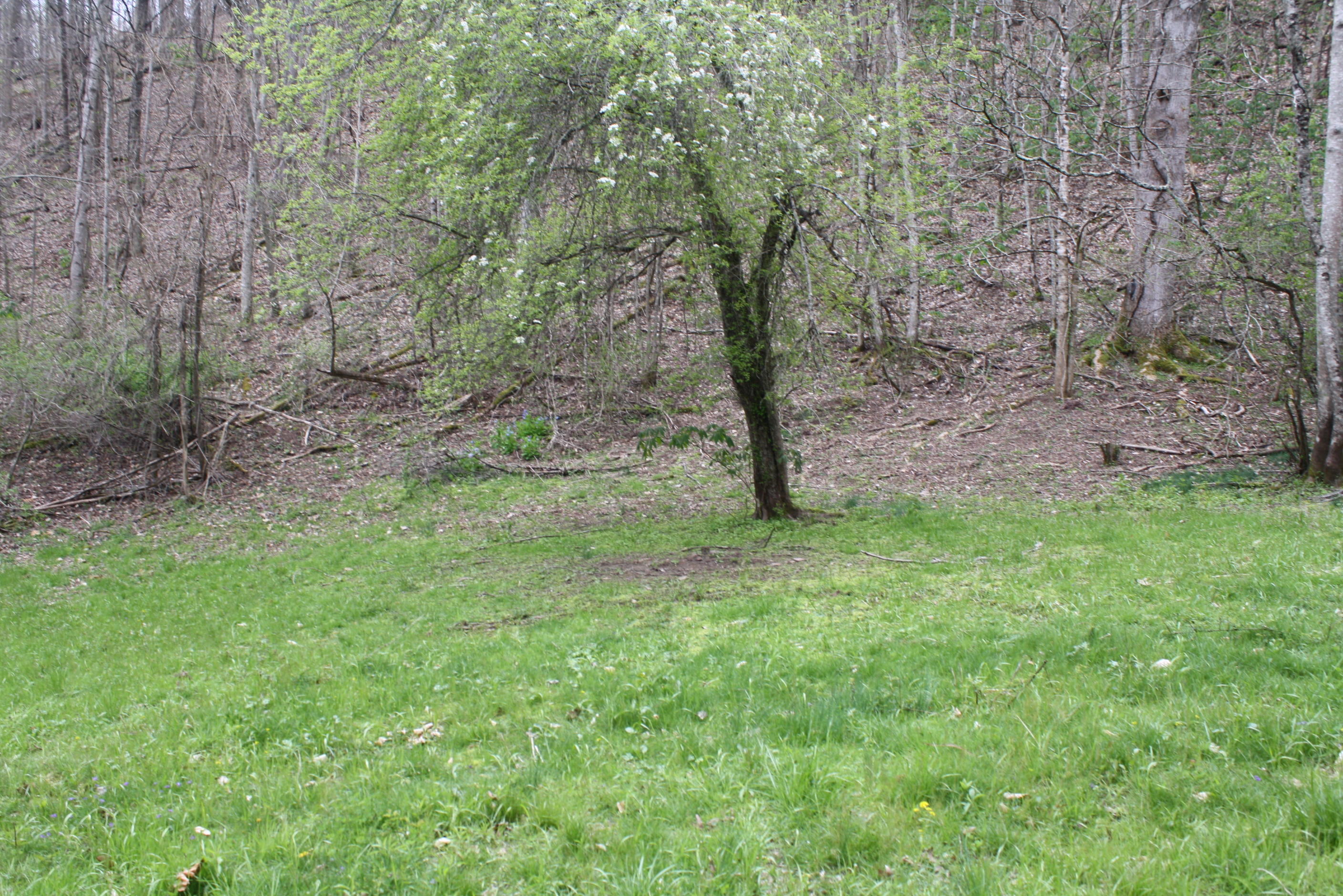 722 East Woodrumtown Road Hinton, WV 25951 - Photo 127 of 145 Gallery Image 127
