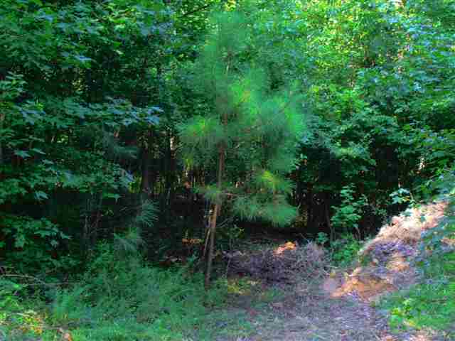 115 Hillview Circle Anderson, SC 29621 - Photo 10 of 25 Gallery Image 10