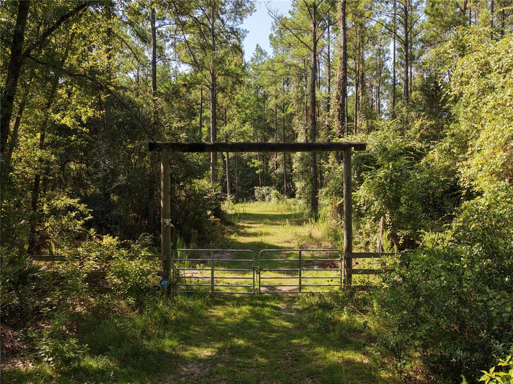 375 Buck Springs Road Palatka, FL 32177 - Photo 2 of 78 Gallery Image 2
