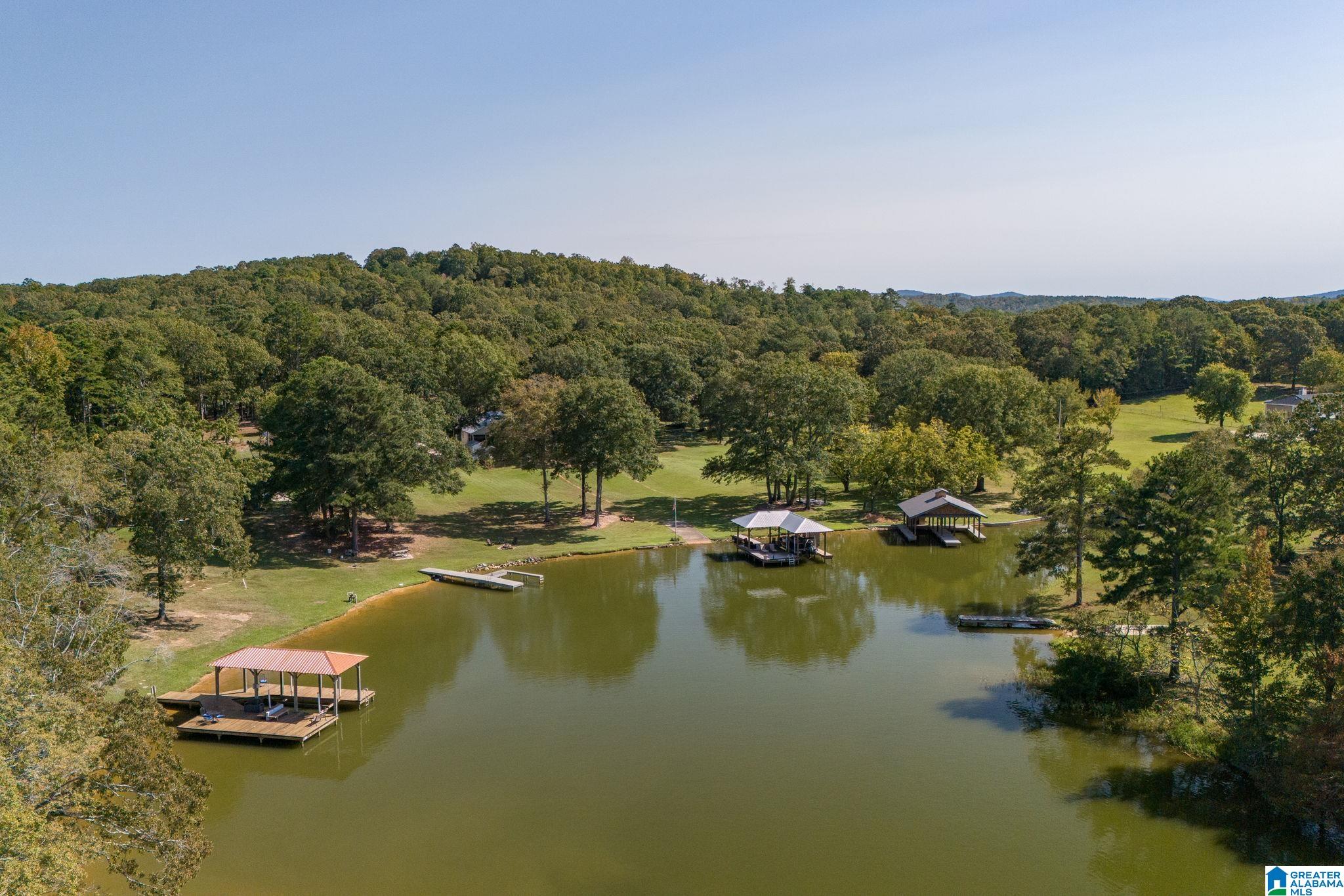 1680 Funderburg Bend Road Pell City, AL 35128 - Photo 79 of 84