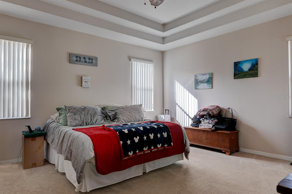 3161 Poppy Hill Road Mount Dora, FL 32757 - Photo 11 of 28