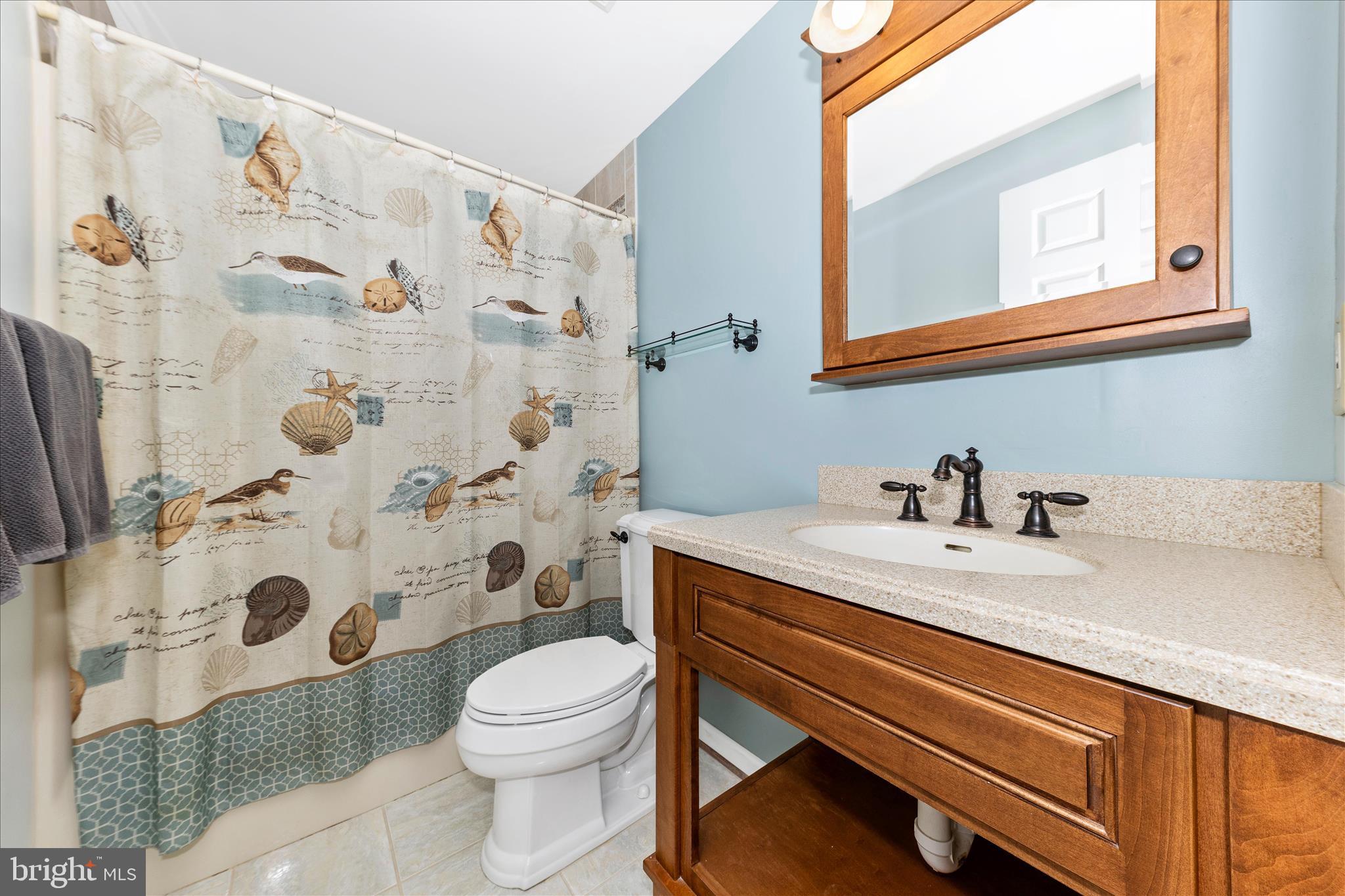 8226 Red Wing Court Frederick, MD 21701 - Photo 26 of 45 a bathroom with a sink and a toilet