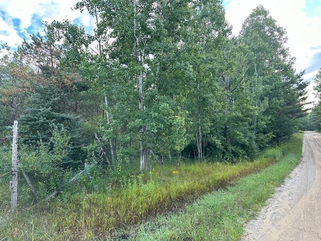 Nhn East Stockwell Road Harrison, MI 48625 - Photo 2 of 8