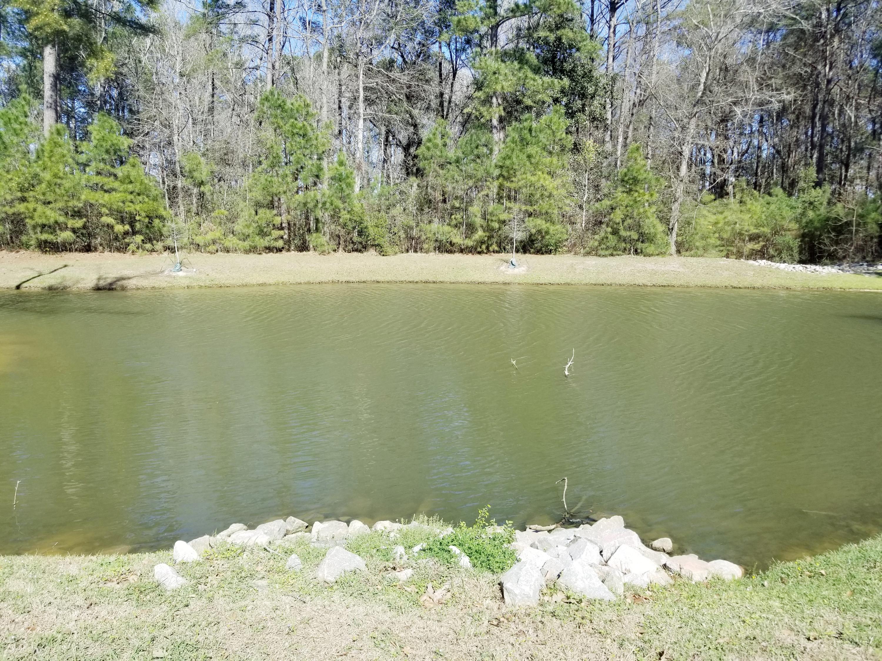 1477 Roustabout Way Charleston, SC 29414 - Photo 51 of 62 20180303_141952