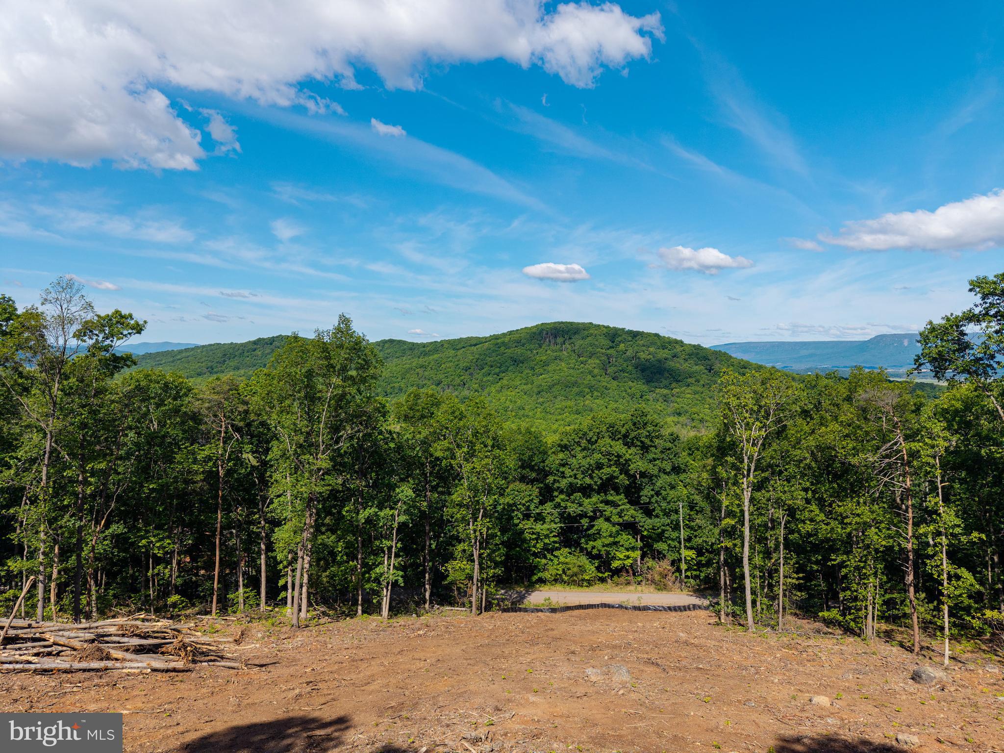 0 Cross Mountain Road Luray, VA 22835 - Photo 28 of 51