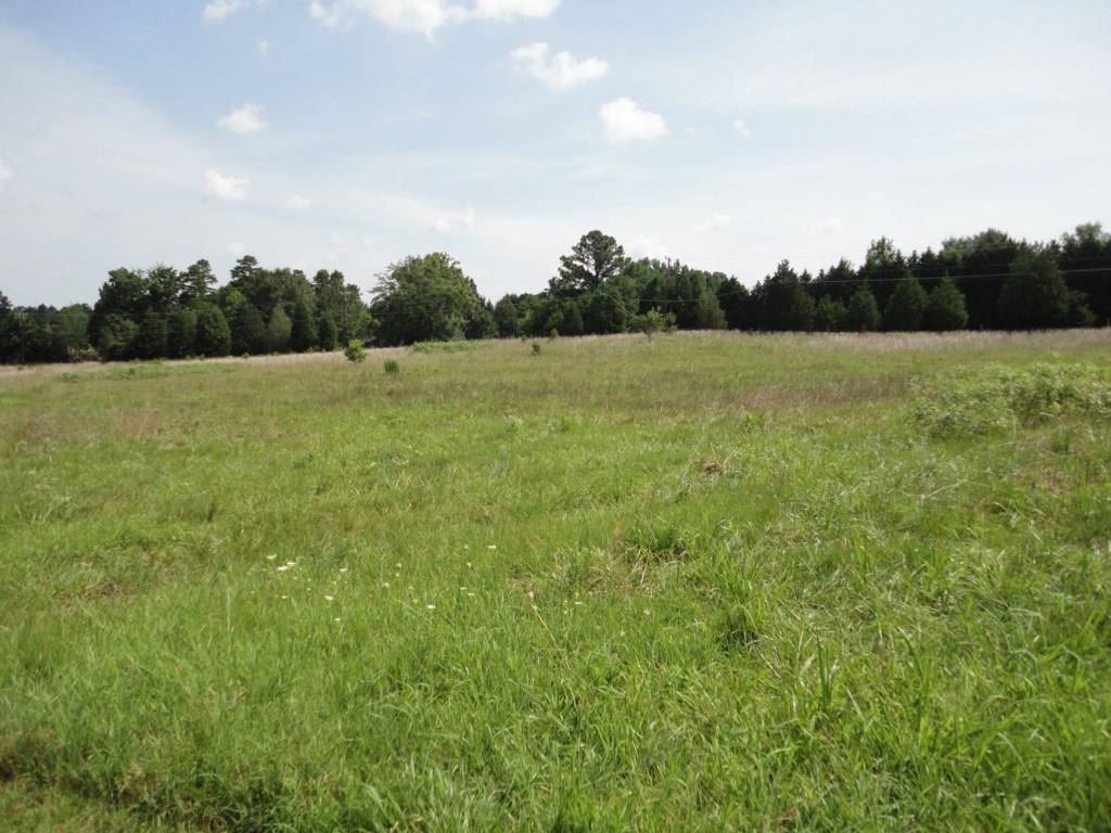 1016 Dunklin Bridge Road Fountain Inn, SC 29644 - Photo 2 of 14
