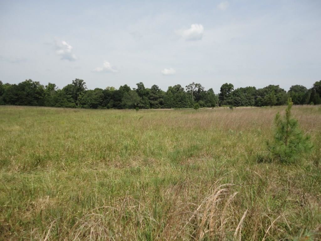 1016 Dunklin Bridge Road Fountain Inn, SC 29644 - Photo 3 of 14