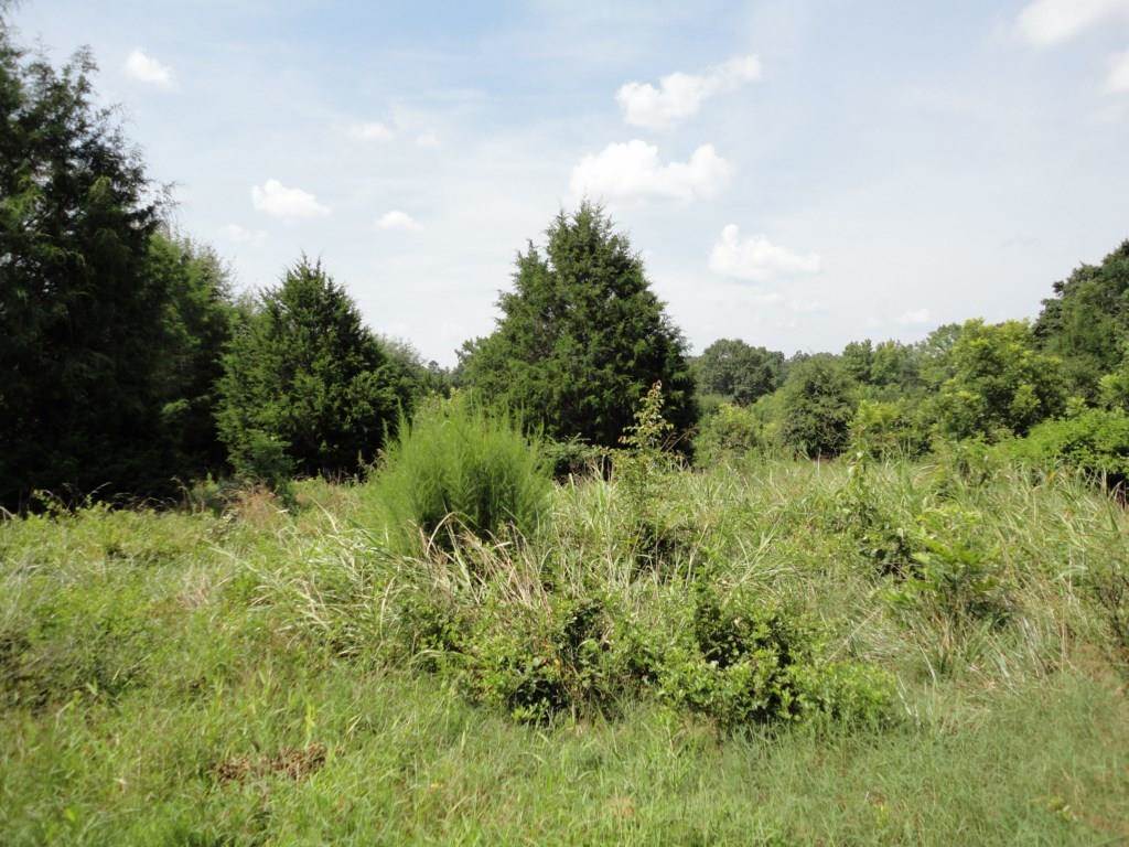 1016 Dunklin Bridge Road Fountain Inn, SC 29644 - Photo 4 of 14