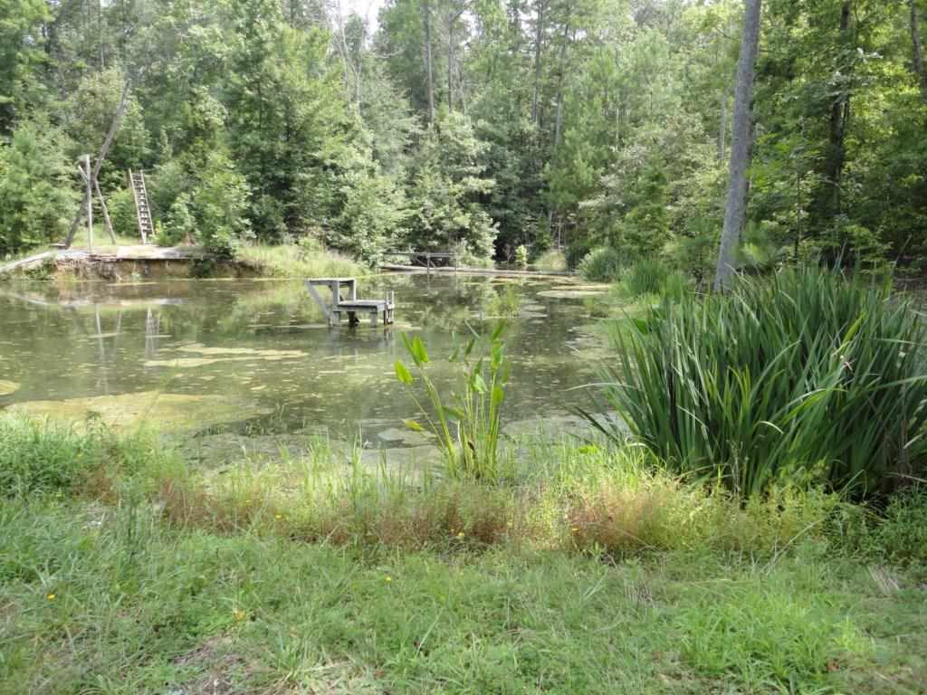 1016 Dunklin Bridge Road Fountain Inn, SC 29644 - Photo 5 of 14