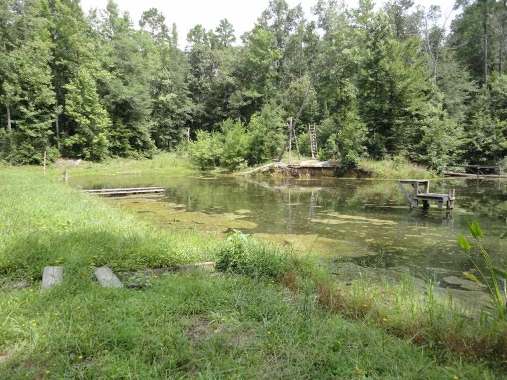 1016 Dunklin Bridge Road Fountain Inn, SC 29644 - Photo 6 of 14