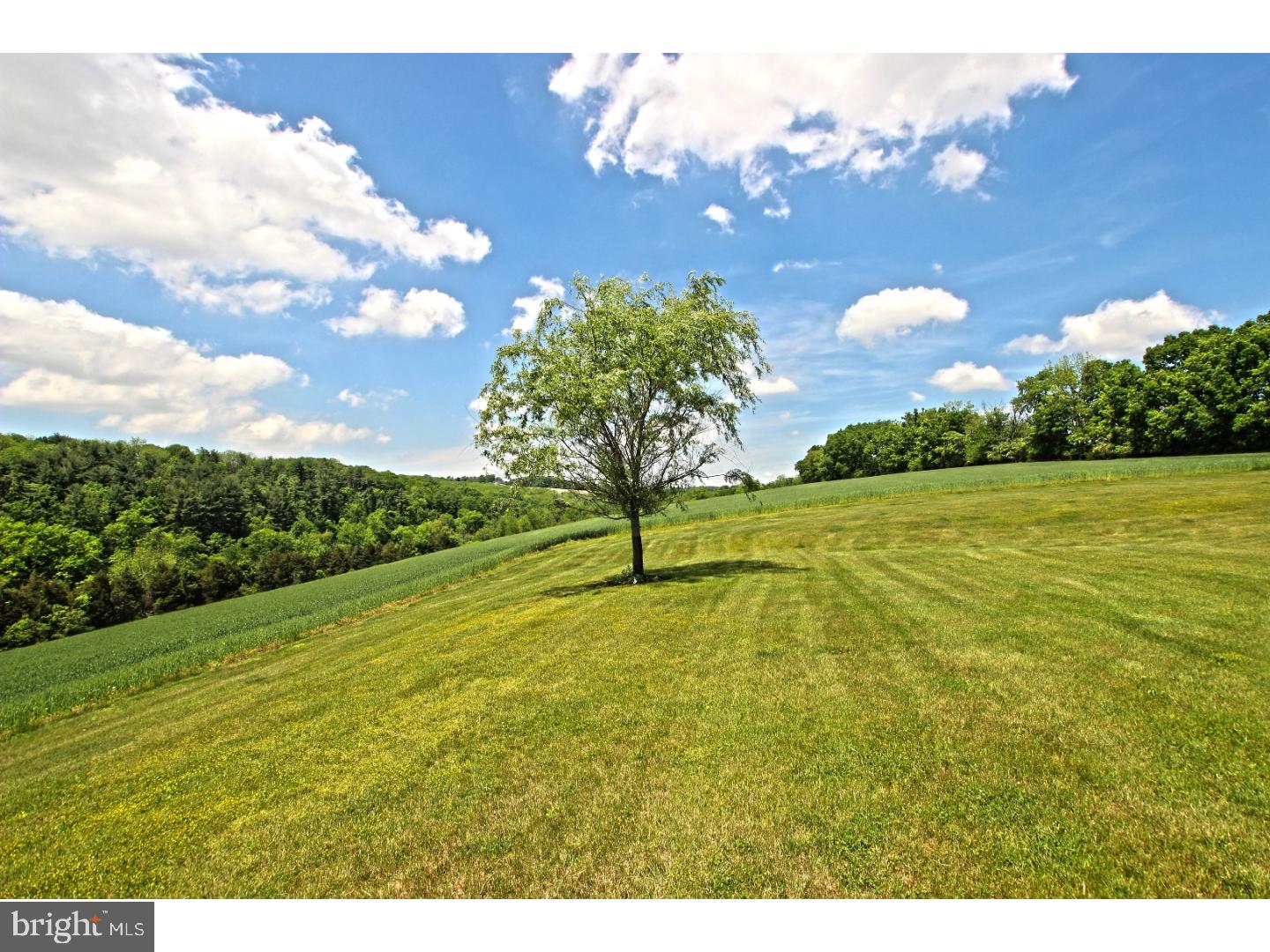 6595 Trickle Creek Road Bath, PA 18014 - Photo 11 of 12 Gallery Image 11
