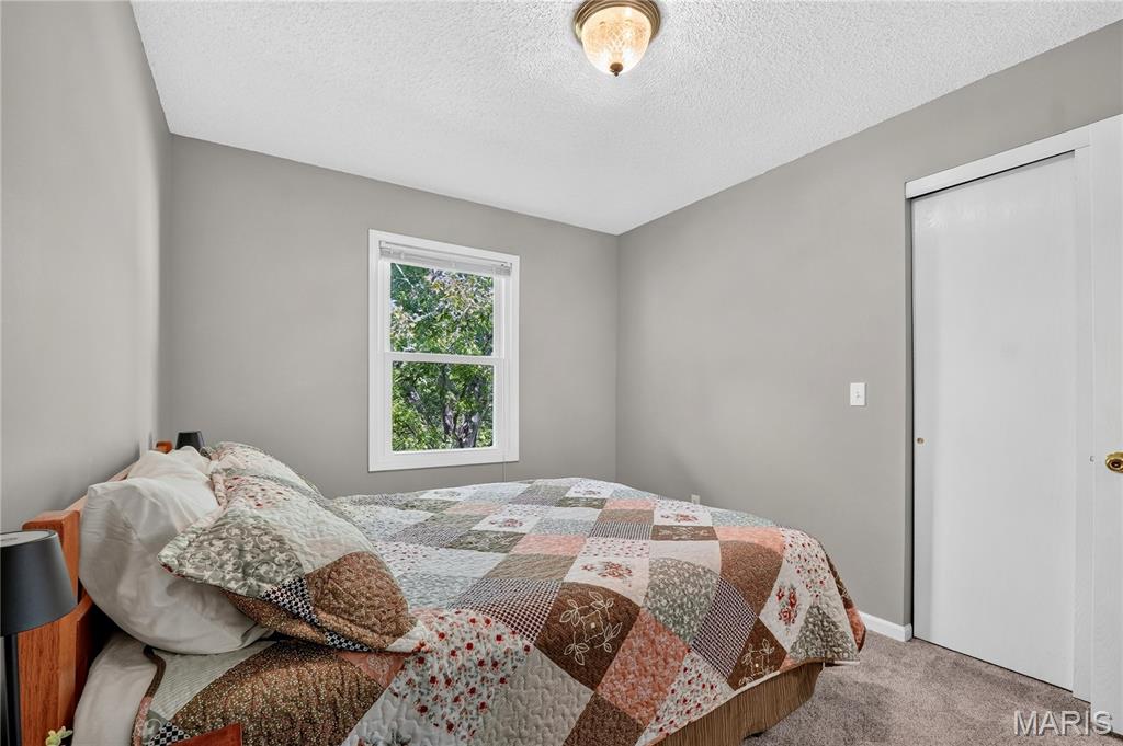 519 Grandview Road St. Clair, MO 63077 - Photo 21 of 48 Gallery Image 21