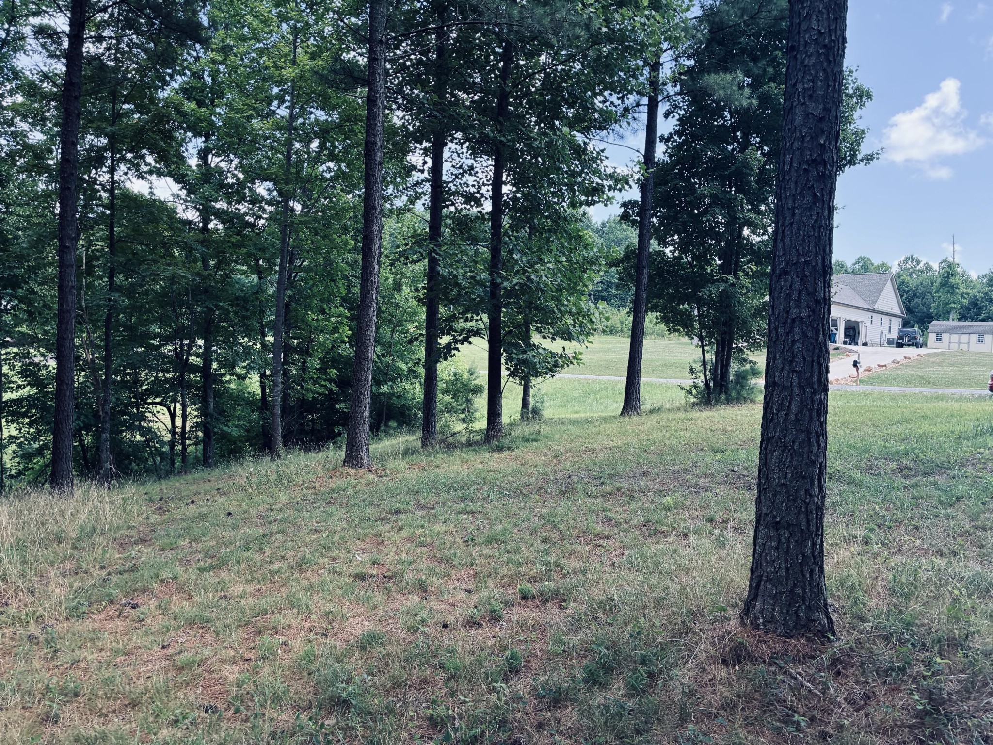 1711 Raulston Fls Road Jasper, TN 37347 - Photo 11 of 40